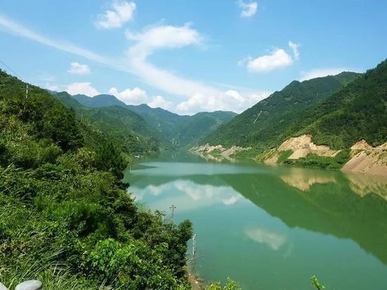 动物帮帮忙保卫家园