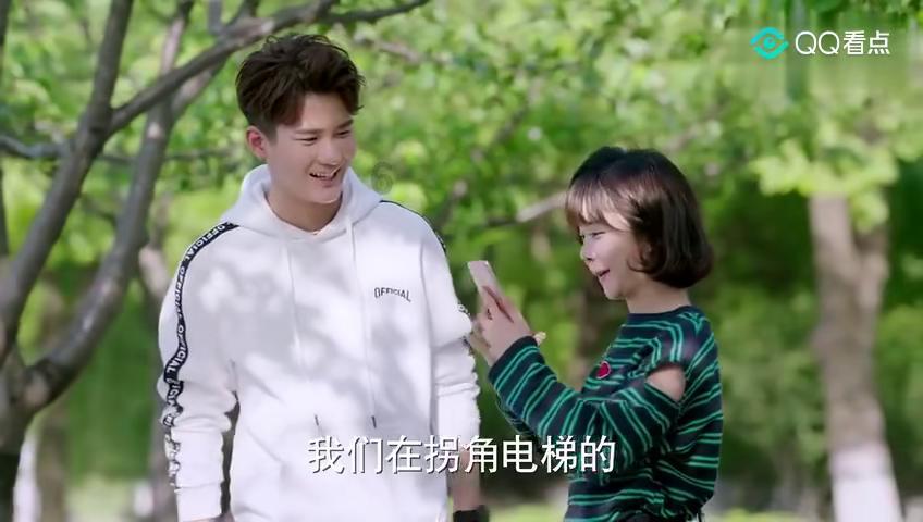 两只猫在校园里吵架遭围观，为何学生们试图劝架都劝不住？游戏画面