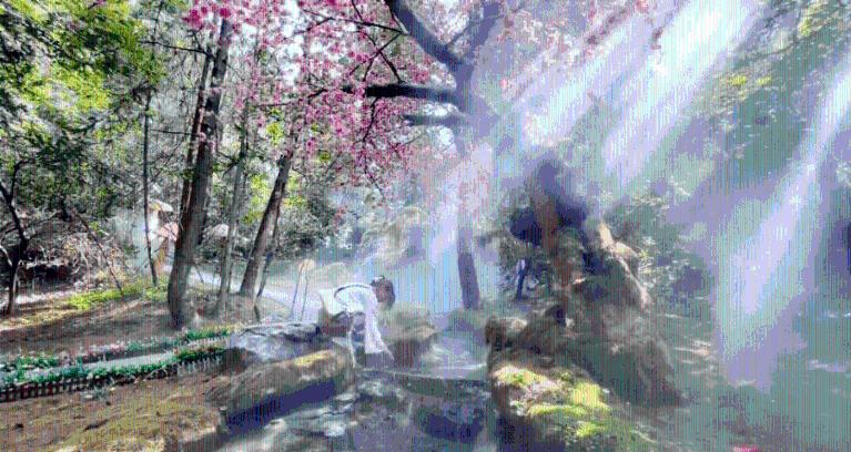 小鸟快跑